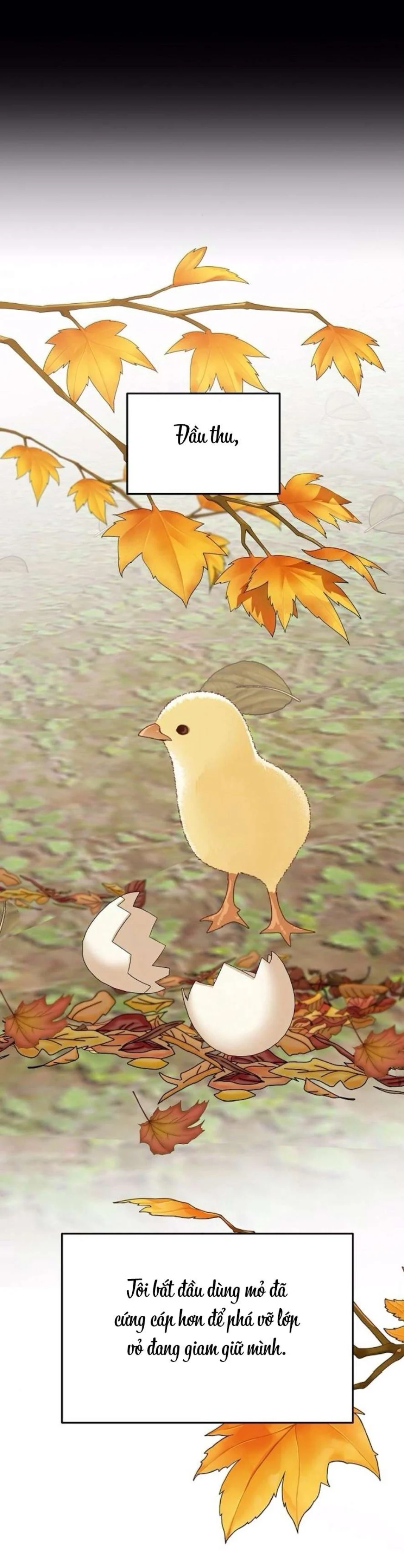 Cẩn Thận Va Phải Tình Yêu Chương 29 - trang 33