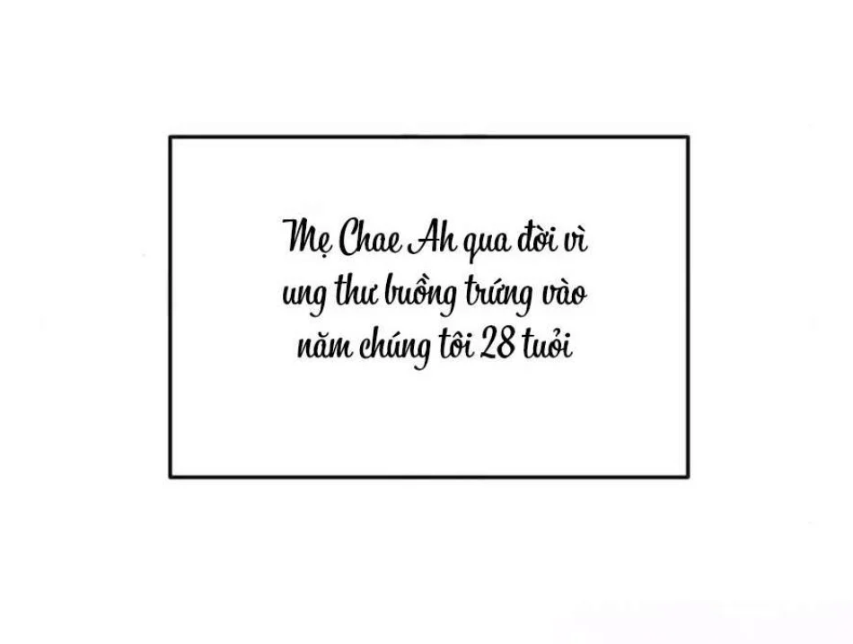 Cẩn Thận Va Phải Tình Yêu Chương 30 - trang 21