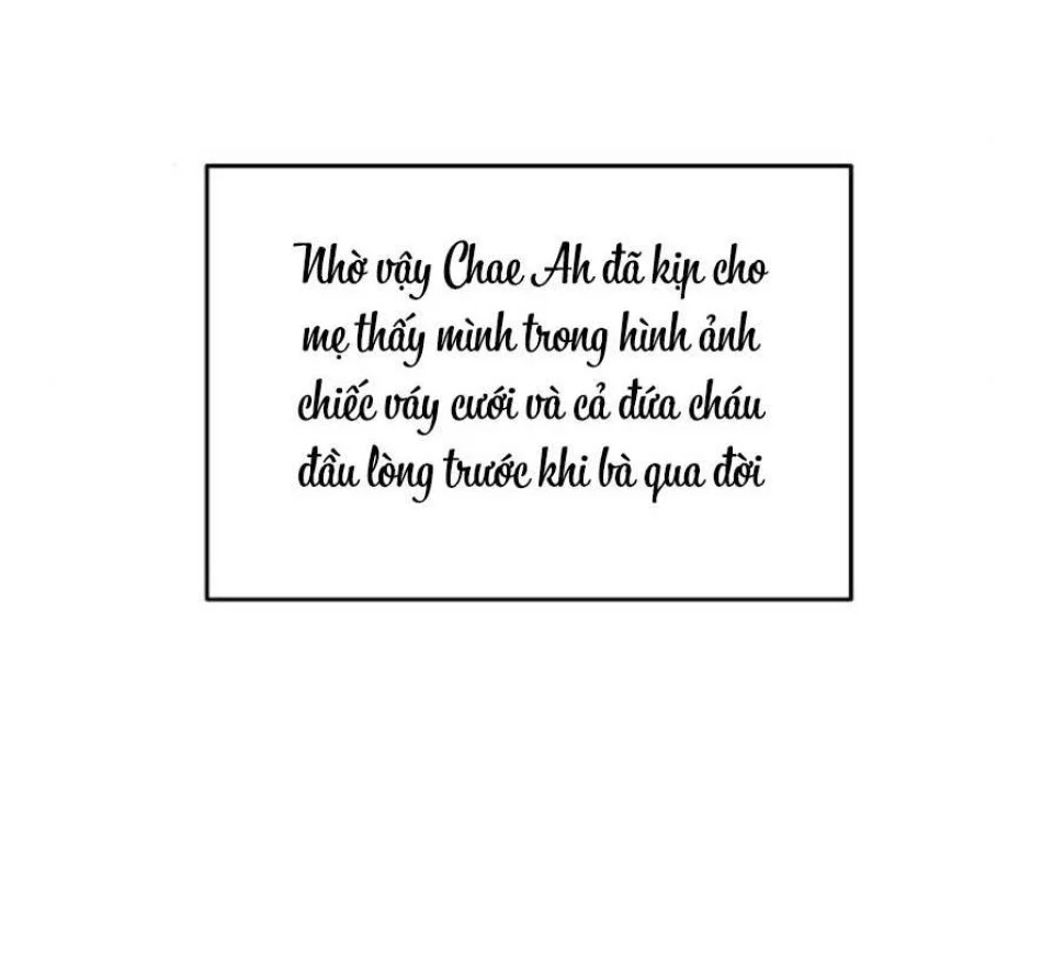 Cẩn Thận Va Phải Tình Yêu Chương 30 - trang 24