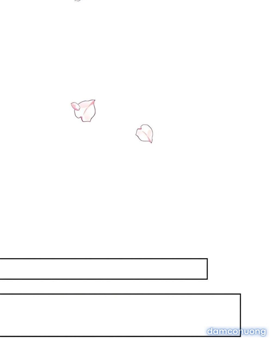 Cẩn Thận Va Phải Tình Yêu Chương 50 - trang 20