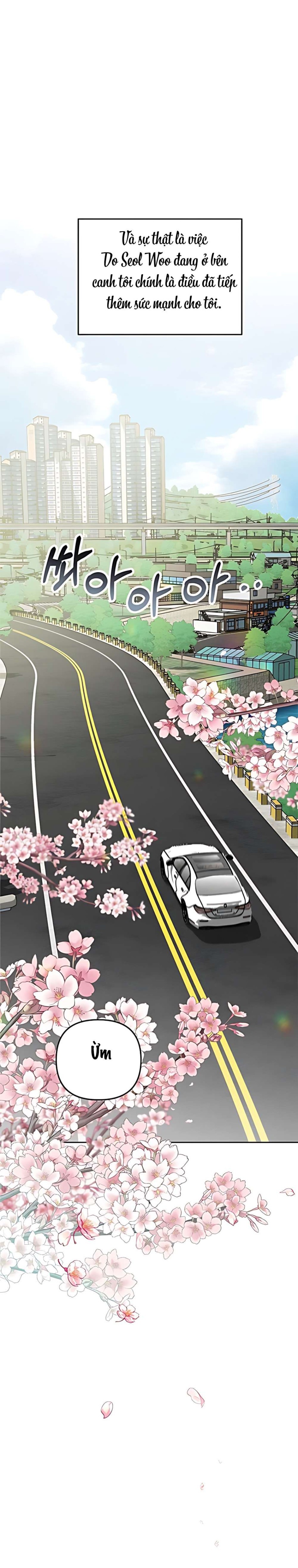 Cẩn Thận Va Phải Tình Yêu Chương 51 - trang 5