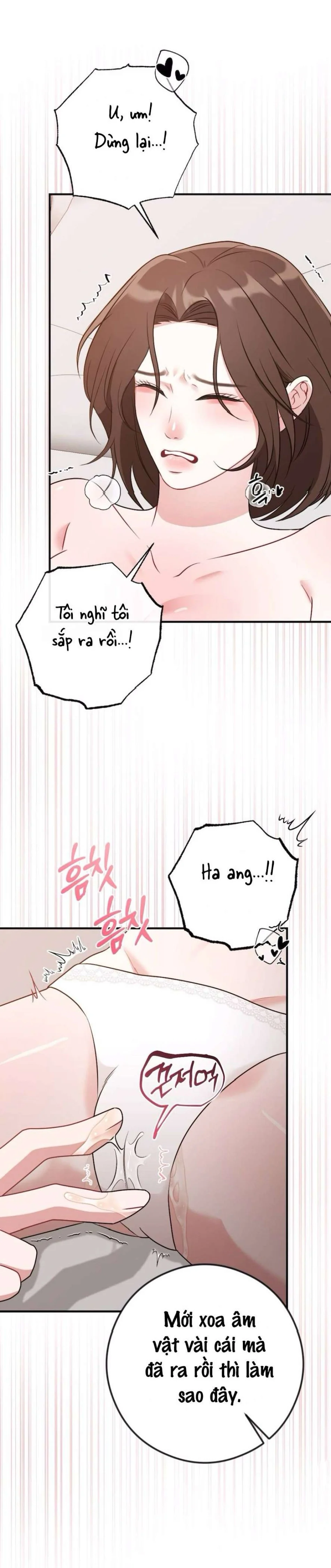 Chiếm Lấy Em Chương 12 - trang 19