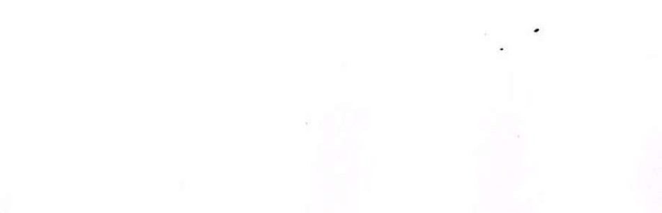 Chiếm Lấy Em Chương 18 - trang 94