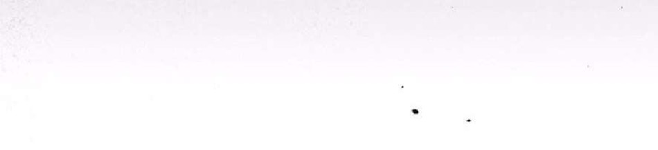 Chiếm Lấy Em Chương 18 - trang 93