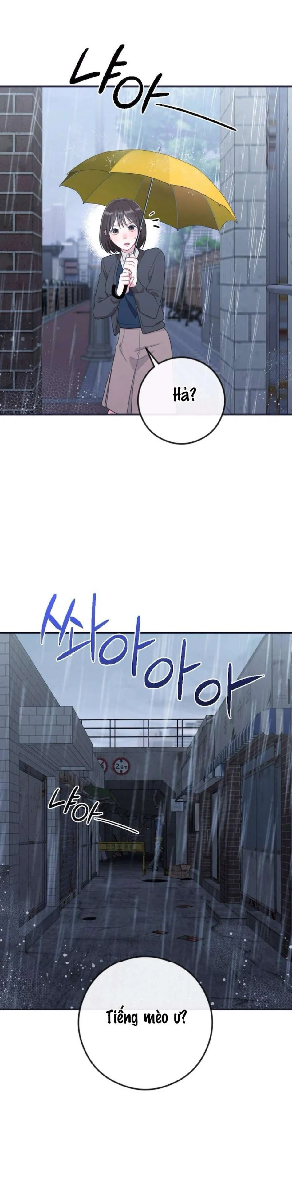 Chiếm Lấy Em Chương 4 - trang 35