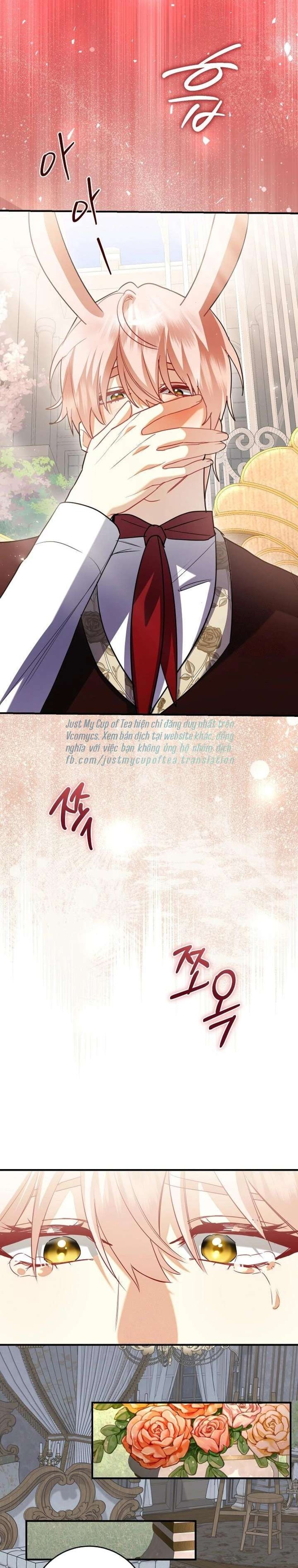 Chồng Thỏ Sao Thỏa Được Ta! Chương 24 - trang 15