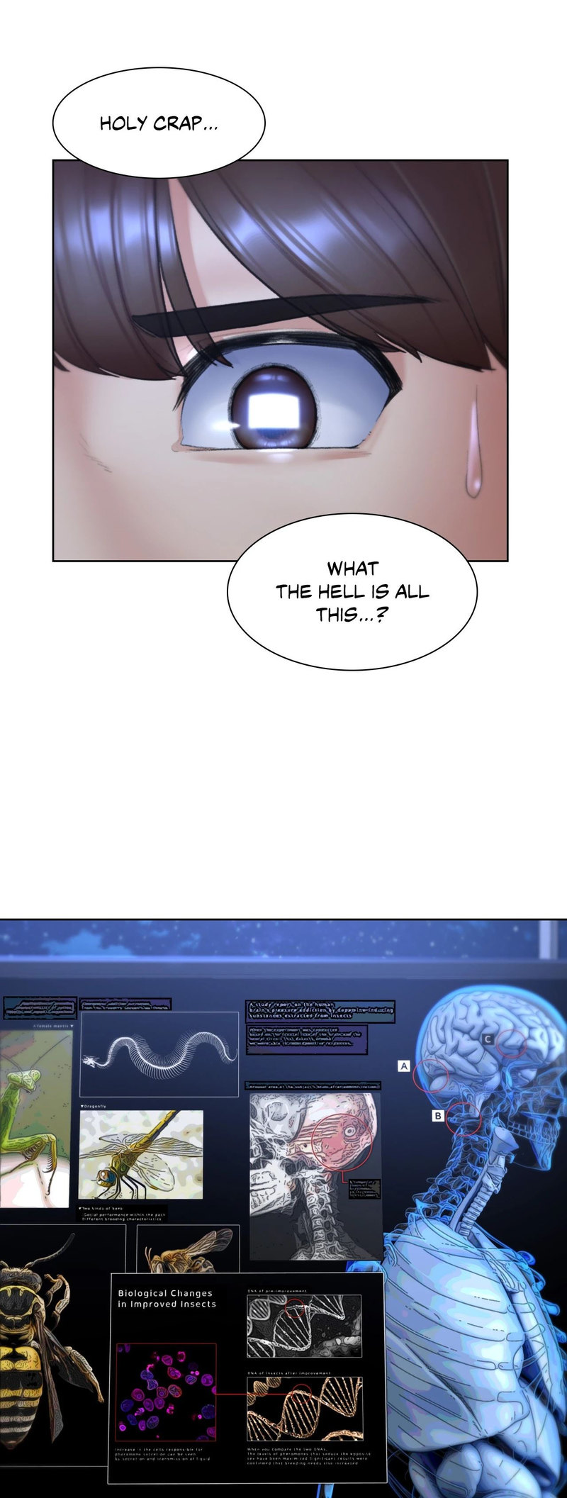 Seniors Of Class 5 Chương 20 - trang 18