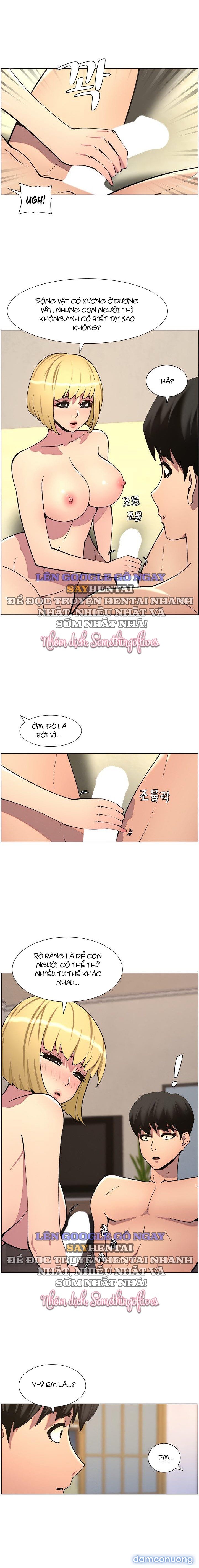 Buổi Học Làm Tình Với Em Gái Chương 47 - trang 16